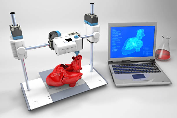 3D spausdinti organai. Kada tokios širdys galės plakti žmonių kūtinėse?